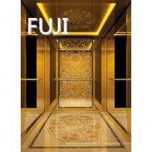 Elegant Noble Series Passenger Elevator / Lift